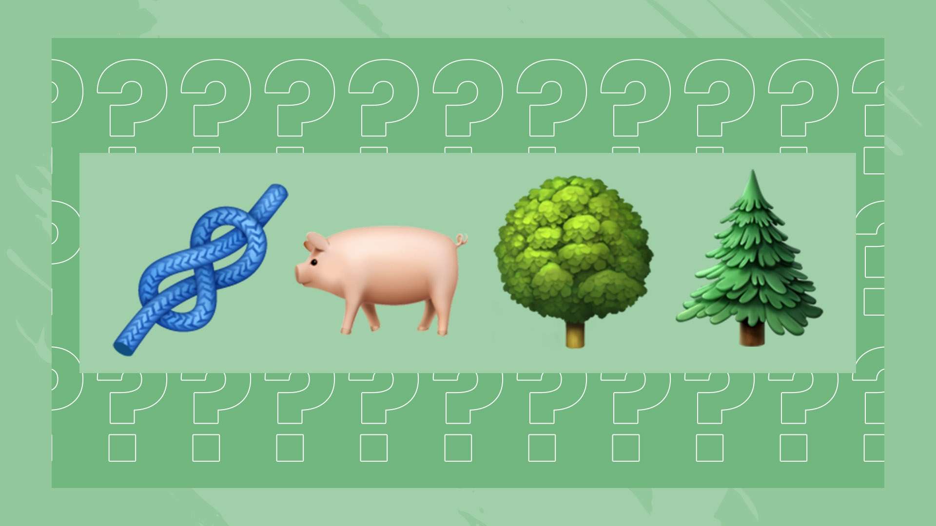 瓜迪奧拉 瓜迪奧拉